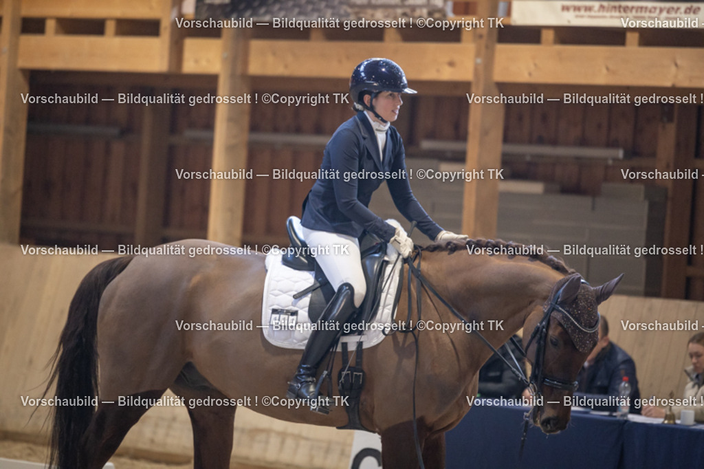 _D5A1666 | Emotionale Pferde- & People-Fotografie rund um Heidelberg, Leimen & Umgebung. Natürliche Fotos von Pferd, Mensch & Familie. Jetzt Termin sichern!