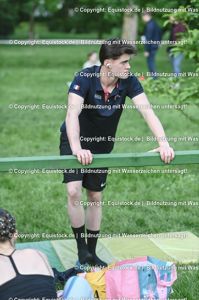 D78_3344 | equistock