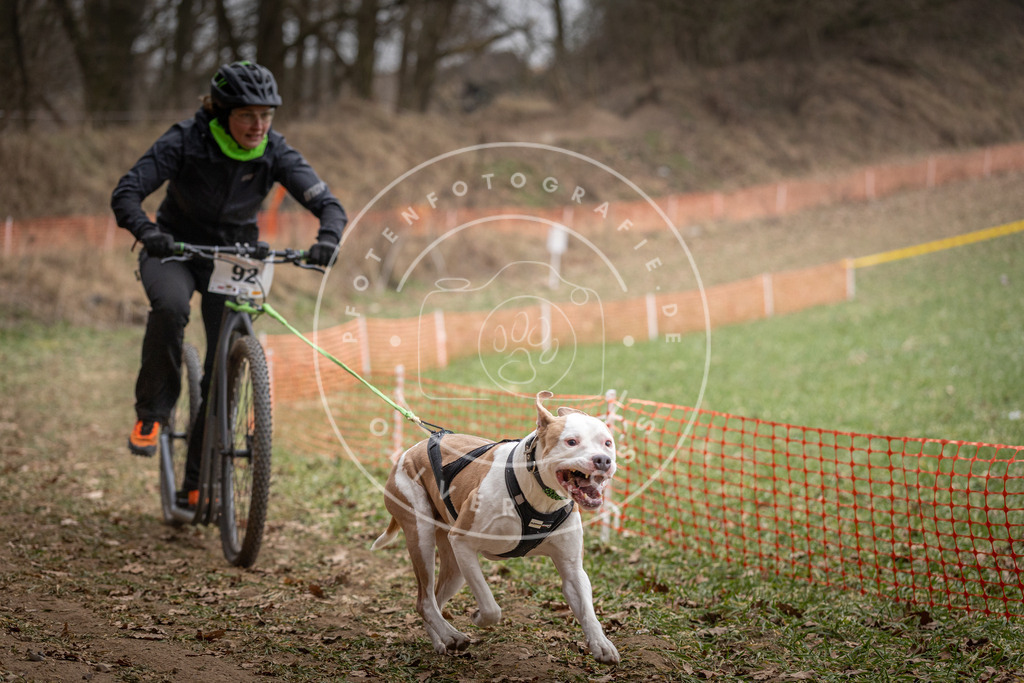 Pfotenfotografie_DV3A6800 | Hundefotografie, Tierfotograf, Pfotenfotografie, Fotoshooting Hund, Hunde Portrait, Hundesport, Hundeportraits, Heideshooting, Hunde, Sportfotograf, Hundefotograf, Turnierhundsport, THS,  - Realisiert mit Pictrs.com