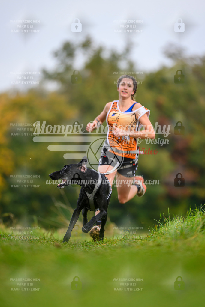 MompixPhotography_CDLBDB2025_DI_CC-1 | PayLife