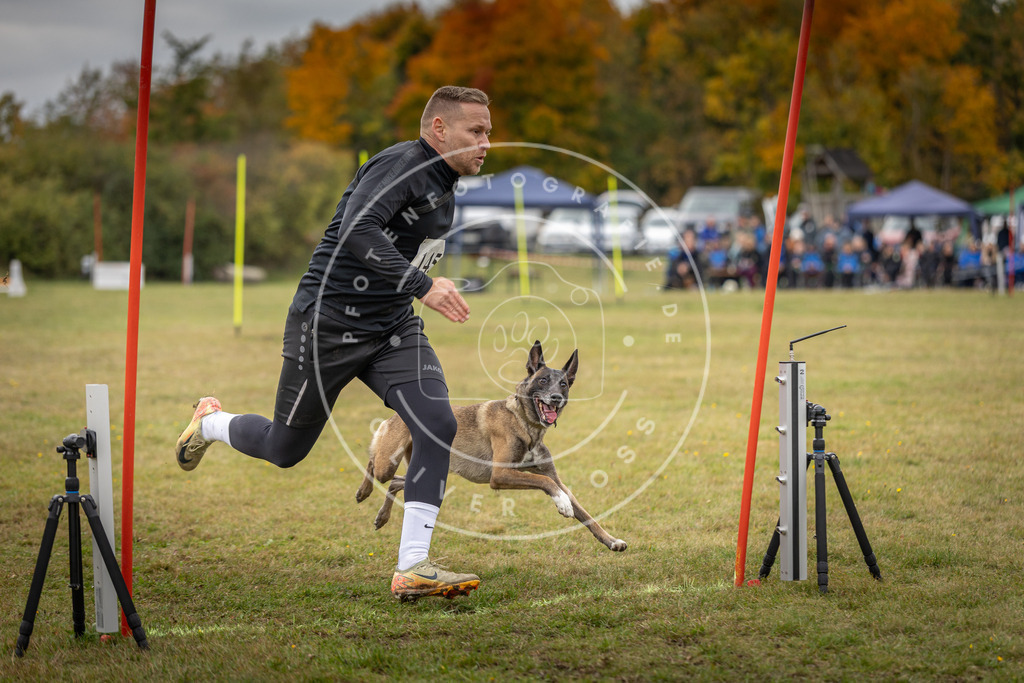 Pfotenfotografie_DV3A8053 | Hundefotografie, Tierfotograf, Pfotenfotografie, Fotoshooting Hund, Hunde Portrait, Hundesport, Hundeportraits, Heideshooting, Hunde, Sportfotograf, Hundefotograf, Turnierhundsport, THS,  - Realisiert mit Pictrs.com