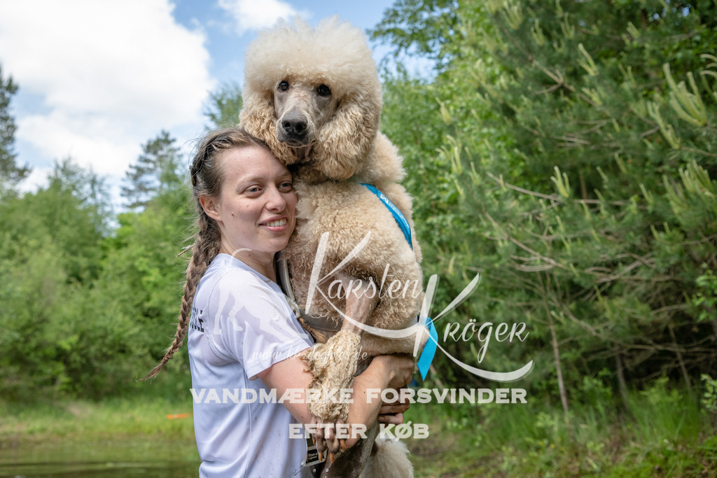 1241DKK993320 | kk-dogfotos
