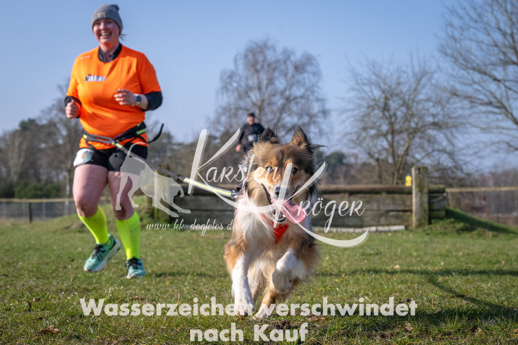_ZZ90884 | kk-dogfotos