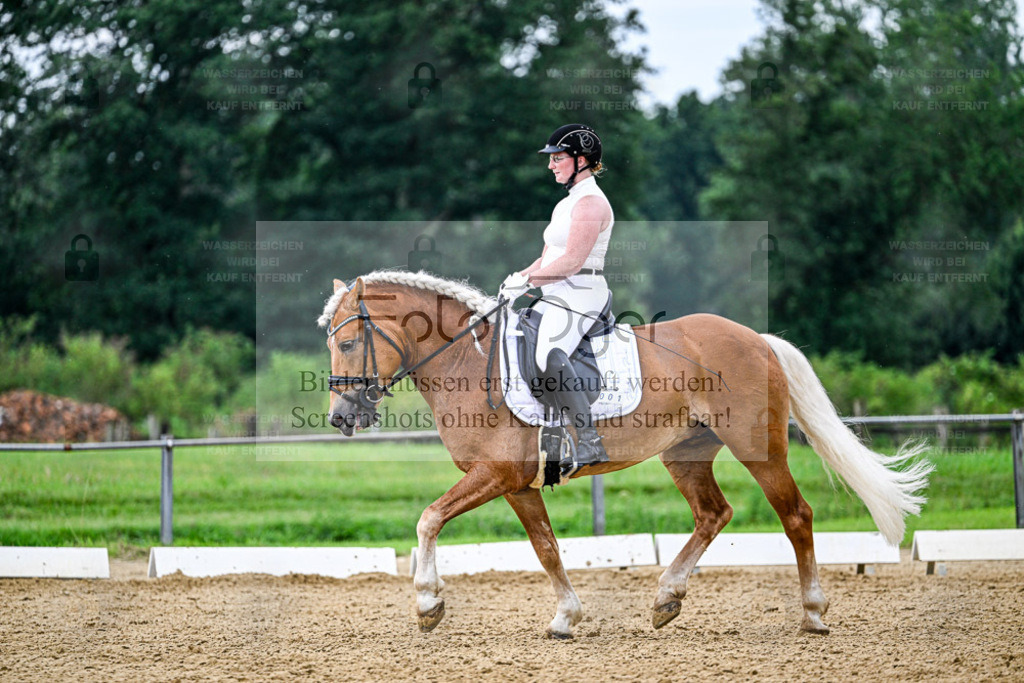 Reitturnier Hasbergen | Entdecke hochwertige Reitturnierfotos von Foto Oger. Professionell, emotional und authentisch – jetzt Lieblingsmomente im Shop bestellen. - Realisiert mit Pictrs.com