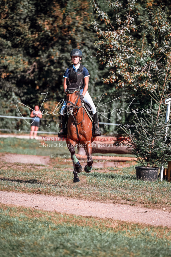 DSC_0977 | Pferde- und Turnierfotografie in Westsachsen. Pferdeportraits, Auftragszeichnungen und intuitive Kunst.