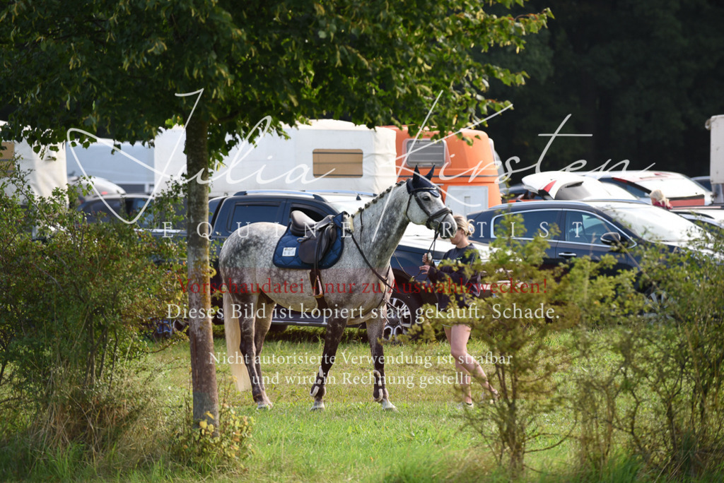 DSC_8522 | Pferde- und Turnierfotografie in Westsachsen. Pferdeportraits, Auftragszeichnungen und intuitive Kunst.
