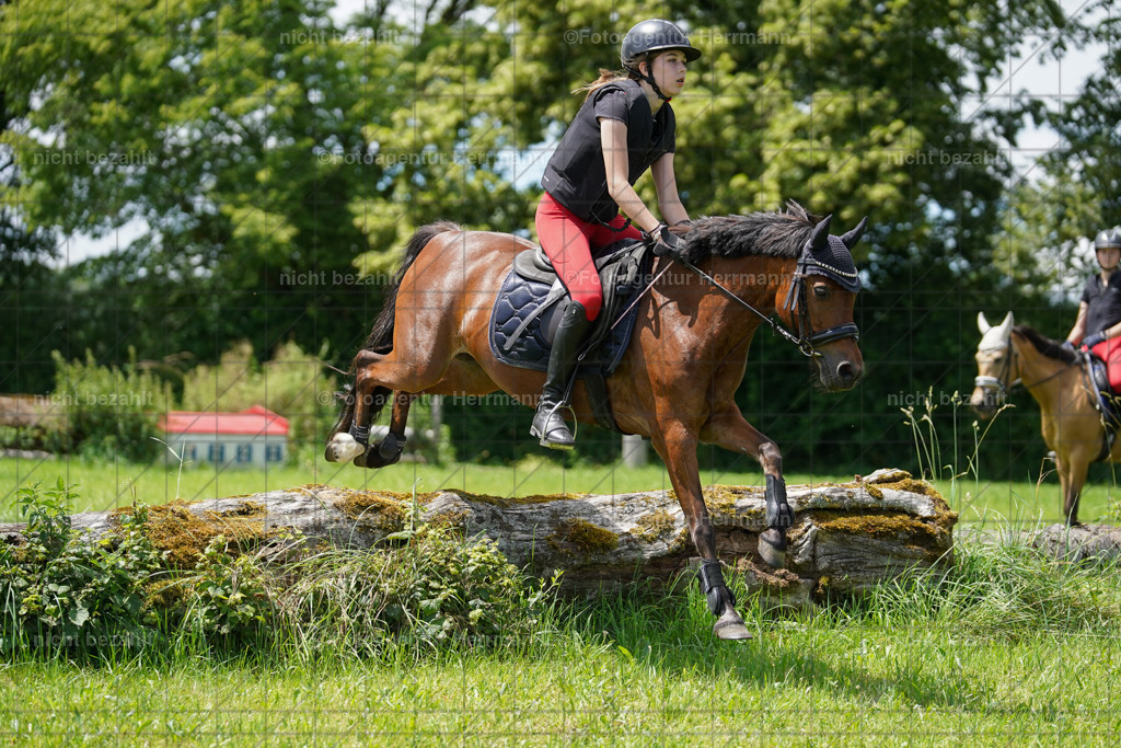 20240622-FAH07338 | Turnierfotografen Bayern, Reitsportbilder aus dem Geländekurs mit Felix Etzel auf dem Gut Waitzacker 2024