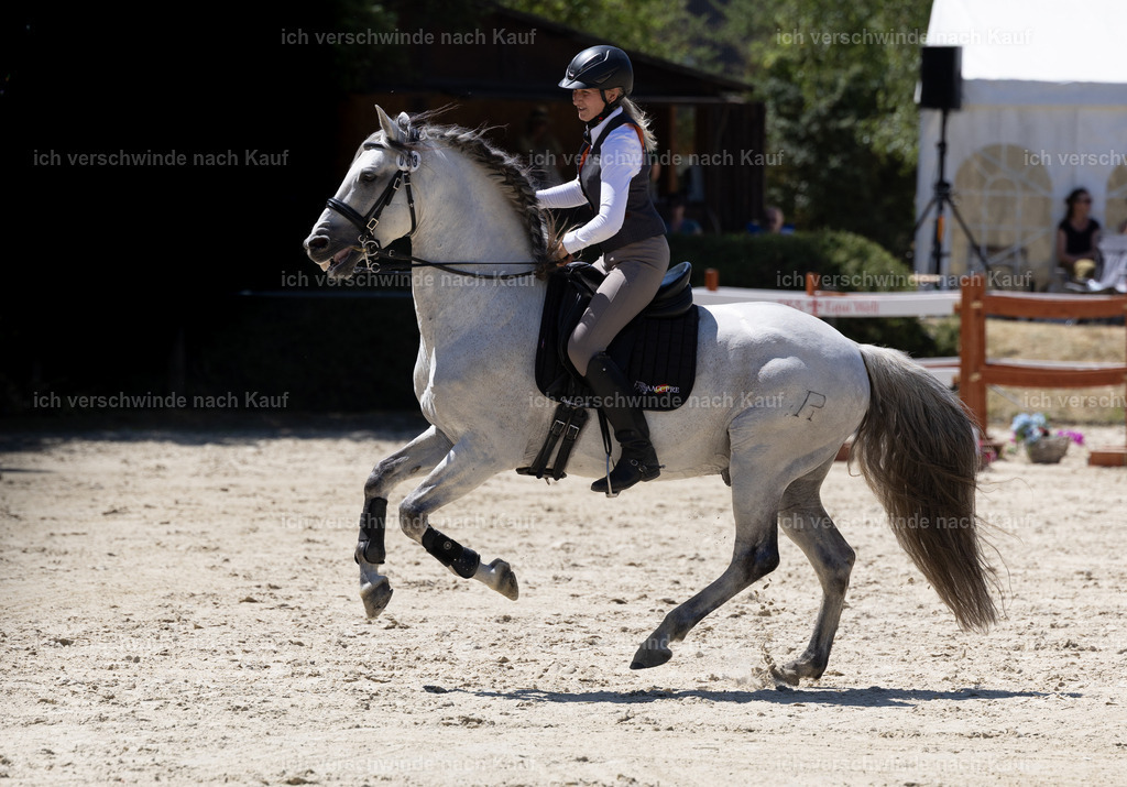 WM_Speed_83_KerstinBernhardt-2 | working equitationturnier fotograf videograf stoibphotography marixx film working equitation deutschland reitsport turnierfotografie eventfotografie equestrian events