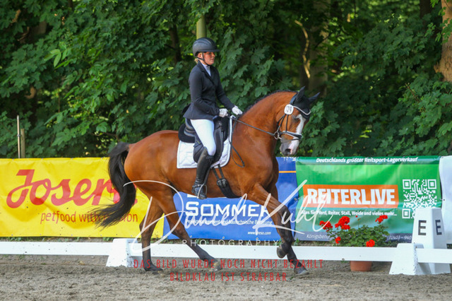 DKP42706 | Turniersportfotografie; Pferdefotografie; Dressurfotografie