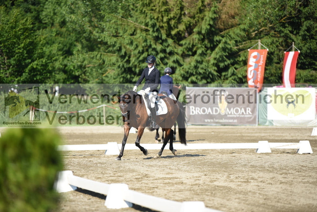 DSC_7168 | equestrian-live-com