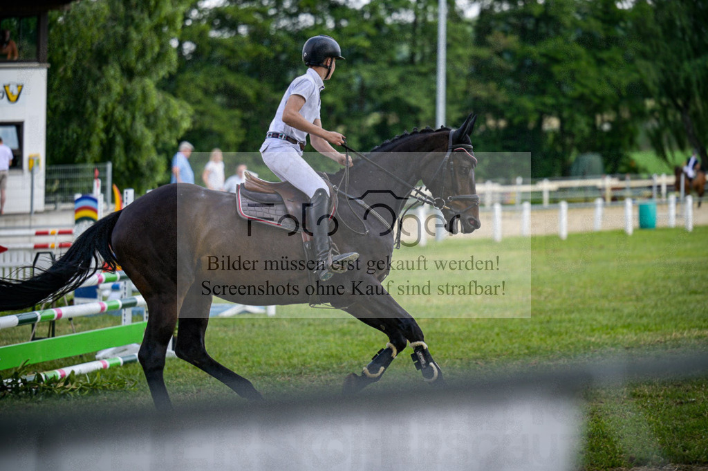 Reitturnier Voxtrup | Entdecke hochwertige Reitturnierfotos von Foto Oger. Professionell, emotional und authentisch – jetzt Lieblingsmomente im Shop bestellen.Deutschlandweite Turnierfotografie. - Realisiert mit Pictrs.com