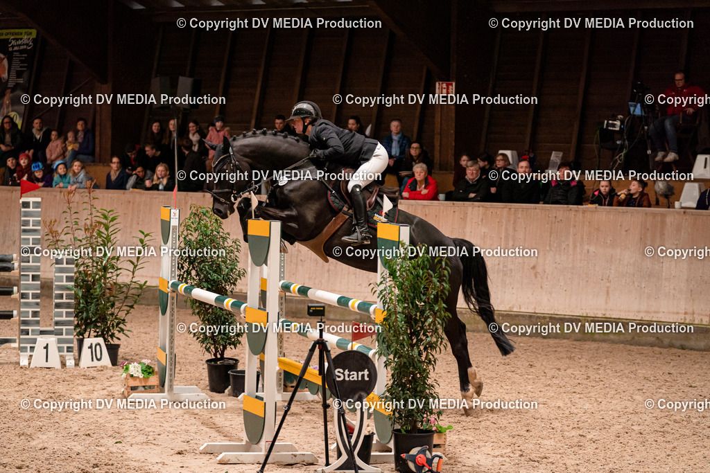 Springen Tag 2-663 | dv-media-shop - Realisiert mit Pictrs.com