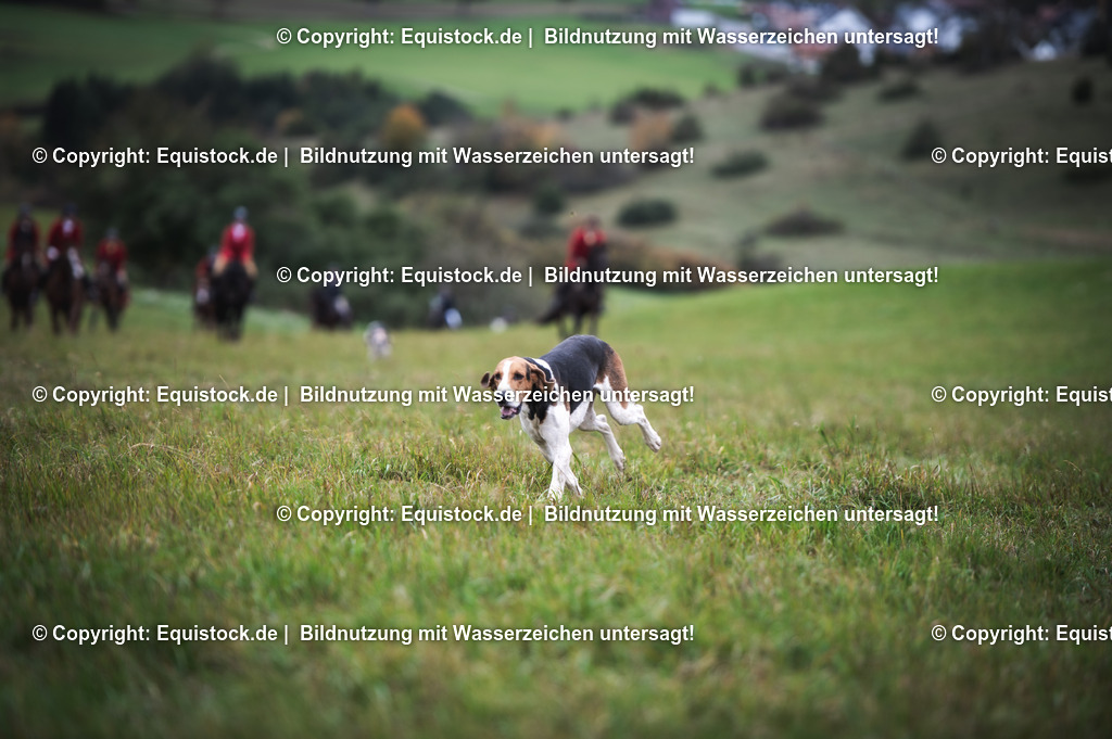 20241013_Jagd-Marbach_0211 | Foto: Thomas Hartig