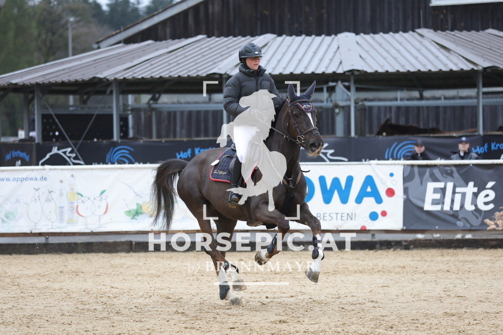 0P6A6888 | Willkommen bei Brunnmayr - Design & Fotografie – Ihrem Spezialisten für Reitturniere und Pferdeveranstaltungen in Oberösterreich, Salzburg und Bayern! Seit über 17 Jahren sind wir leidenschaftlich dabei.