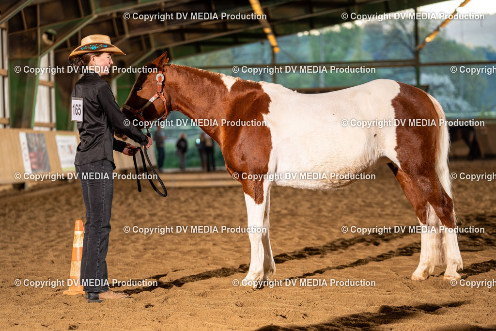 Balingen Tag 1-103 | dv-media-shop - Realisiert mit Pictrs.com