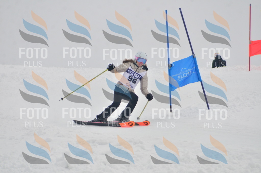 A5806 | holidayphoto