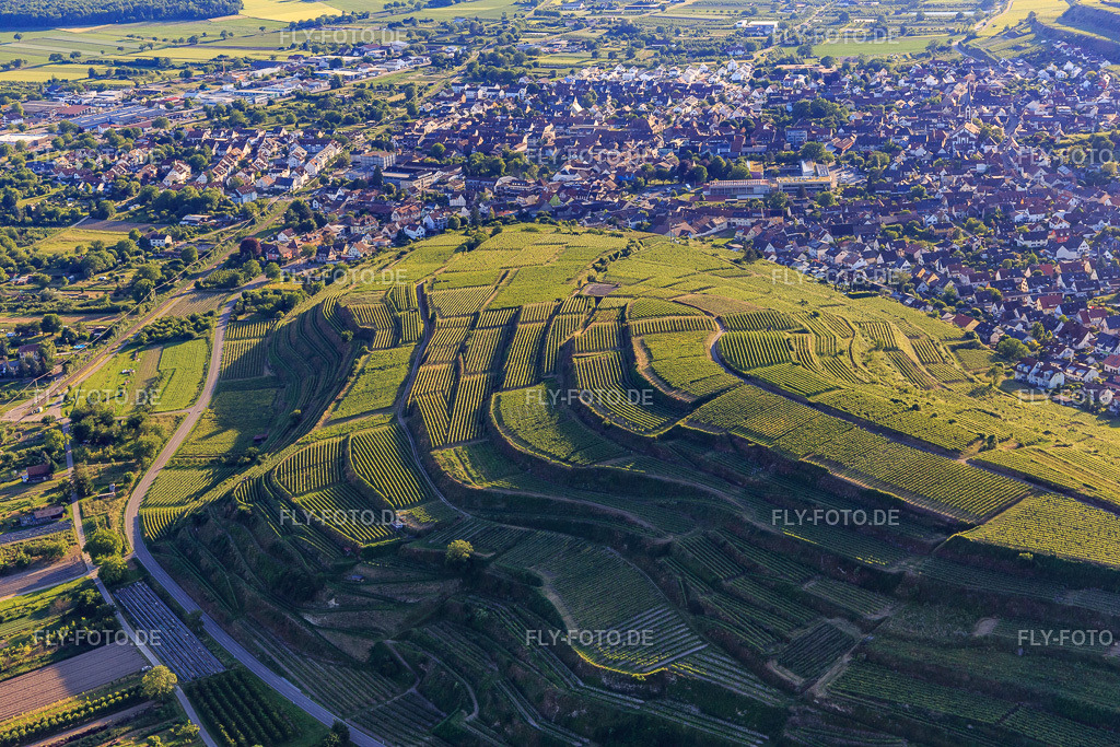Terassierte Weinberge im südlichen Kaiserstuhl | Luftbild: Terassierte Weinberge im südlichen Kaiserstuhl im Ortsteil Wasenweiler in Ihringen im Bundesland Baden-Württemberg in Deutschland. Foto: IMG_147800.jpg vom 30.05.2025 durch Werner Riehm/FLY-FOTO.de - Realisiert mit Pictrs.com