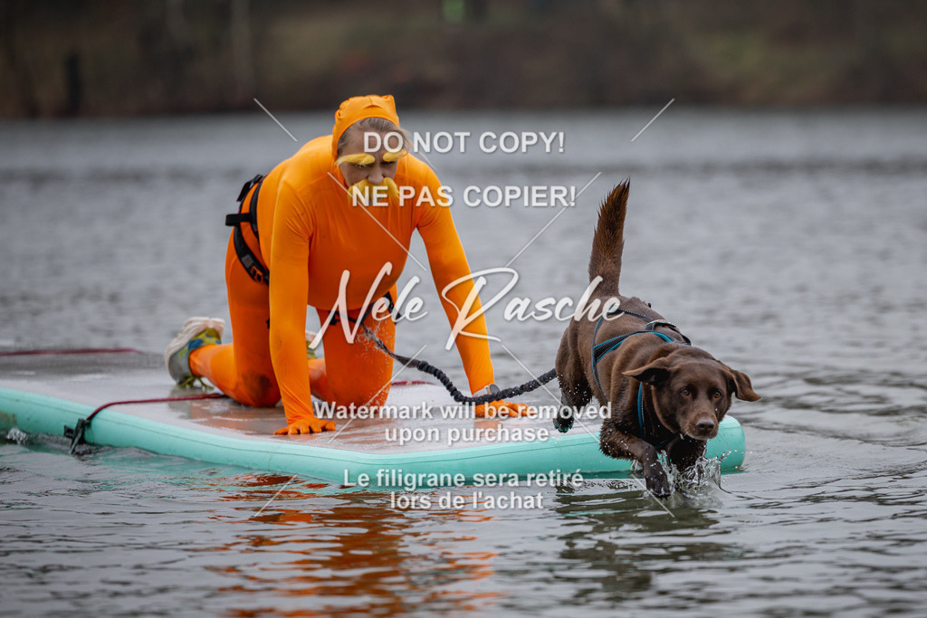 nelerasche_Hulsbeek_Sa1430-1515_272 | nelerasche