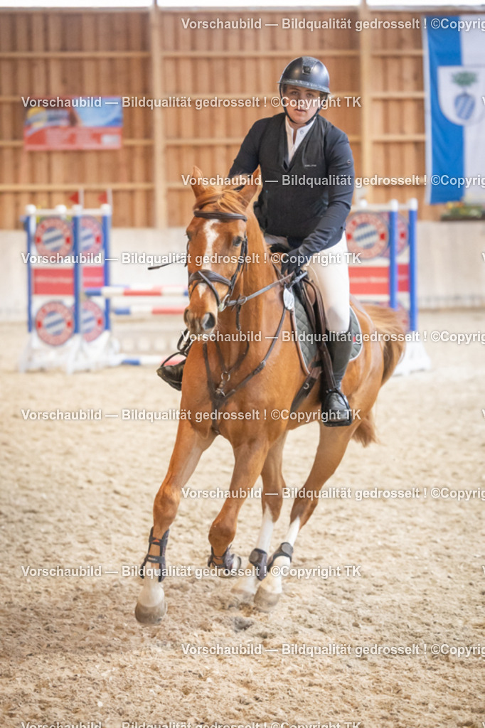 _D5A7868 | Emotionale Pferde- & People-Fotografie rund um Heidelberg, Leimen & Umgebung. Natürliche Fotos von Pferd, Mensch & Familie. Jetzt Termin sichern!