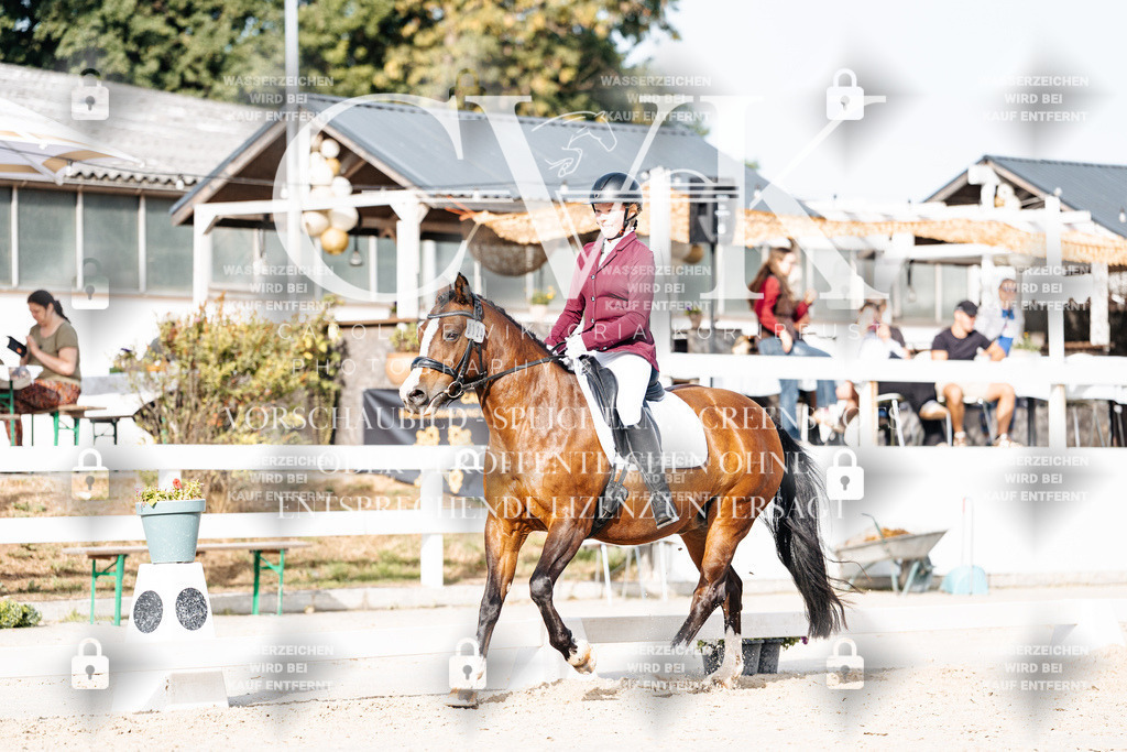 CK904944 | Turnierfotografie Pferdefotografie Trier Rheinland-Pfalz Pferdesport Reitsport Tierfotografie Sportfotografie Pferdevideo Pferdevideografie Equestrianvideography equestrianphotography  - Realisiert mit Pictrs.com