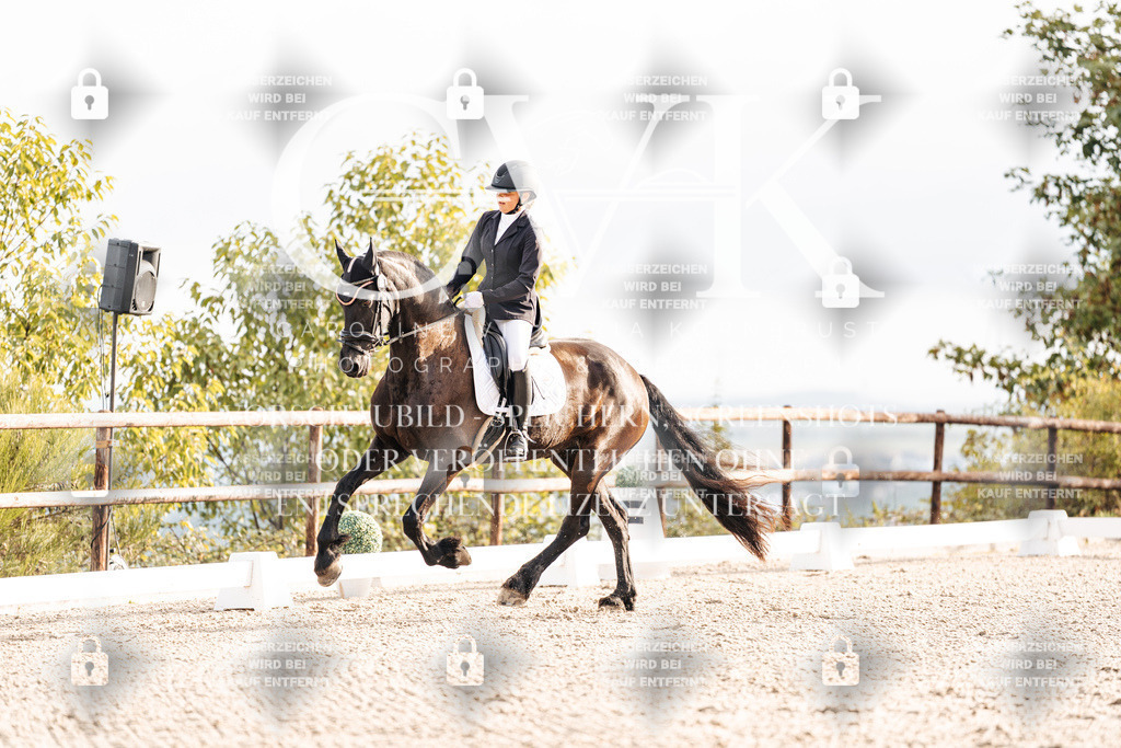 CK900332 | Turnierfotografie Pferdefotografie Trier Rheinland-Pfalz Pferdesport Reitsport Tierfotografie Sportfotografie Pferdevideo Pferdevideografie Equestrianvideography equestrianphotography  - Realisiert mit Pictrs.com