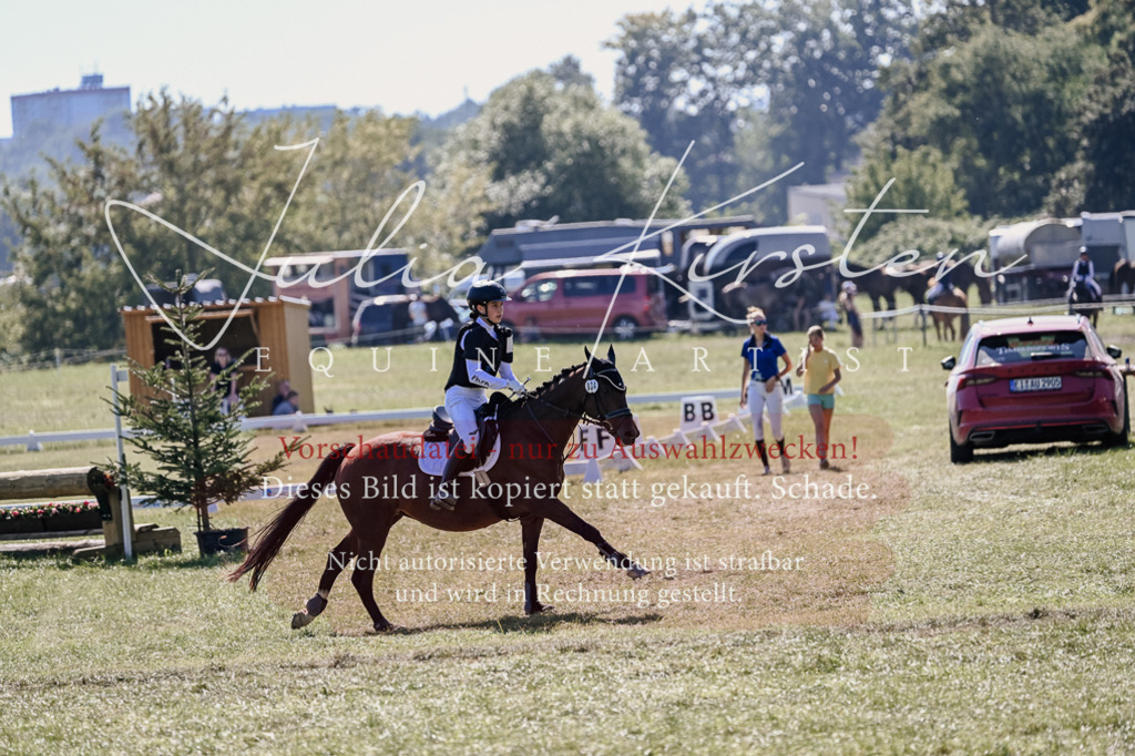 DSC_2814 | Pferde- und Turnierfotografie in Westsachsen. Pferdeportraits, Auftragszeichnungen und intuitive Kunst.