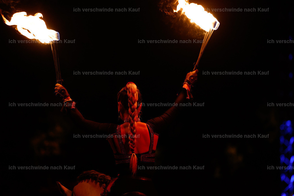 FHClassics-363 | working equitationturnier fotograf videograf stoibphotography marixx film working equitation deutschland reitsport turnierfotografie eventfotografie equestrian events