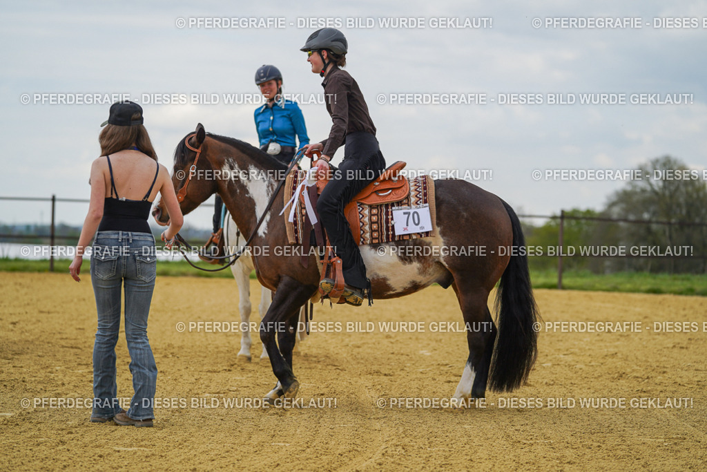 DSC06747 | Pferdegrafie