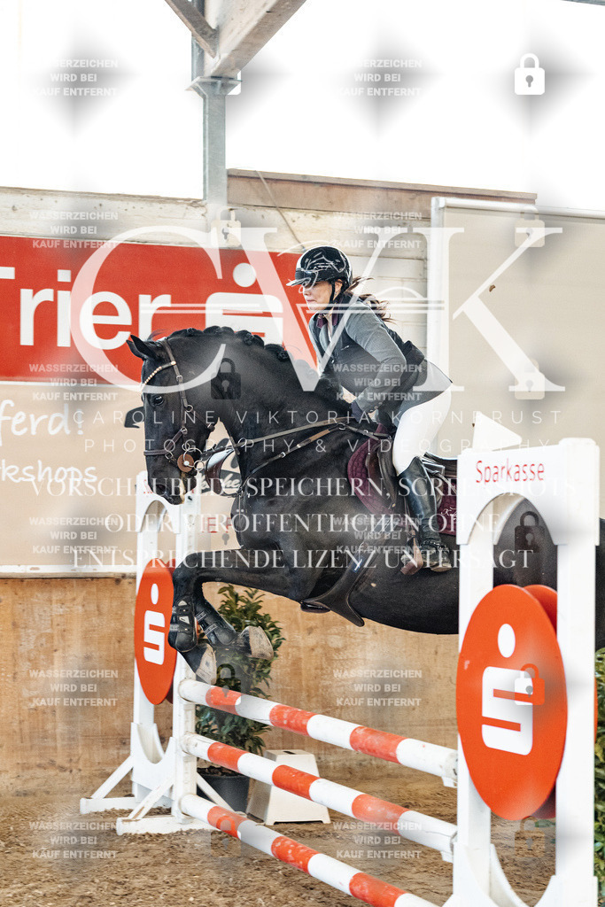 CK904676 | Turnierfotografie Pferdefotografie Trier Rheinland-Pfalz Pferdesport Reitsport Tierfotografie Sportfotografie Pferdevideo Pferdevideografie Equestrianvideography equestrianphotography  - Realized with Pictrs.com