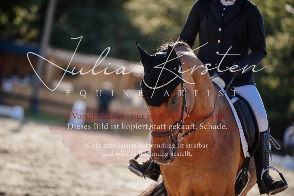 DSC_0666 | Pferde- und Turnierfotografie in Westsachsen. Pferdeportraits, Auftragszeichnungen und intuitive Kunst.