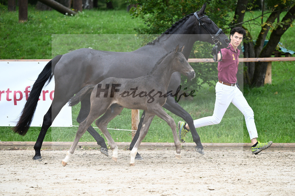 Kat-Nr. 34 HF Secret_Herrmann_25230212 | hf-fotografie - Realisiert mit Pictrs.com
