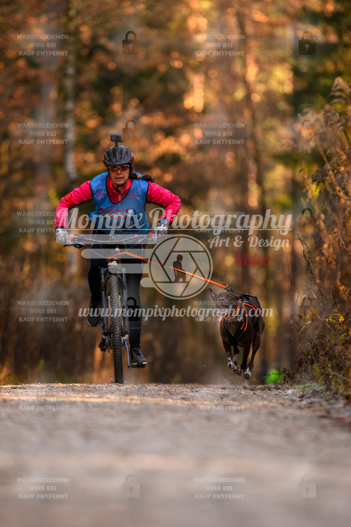 MompixPhotography_DM_AKDM_SO_2025_Bike-192 | PayLife