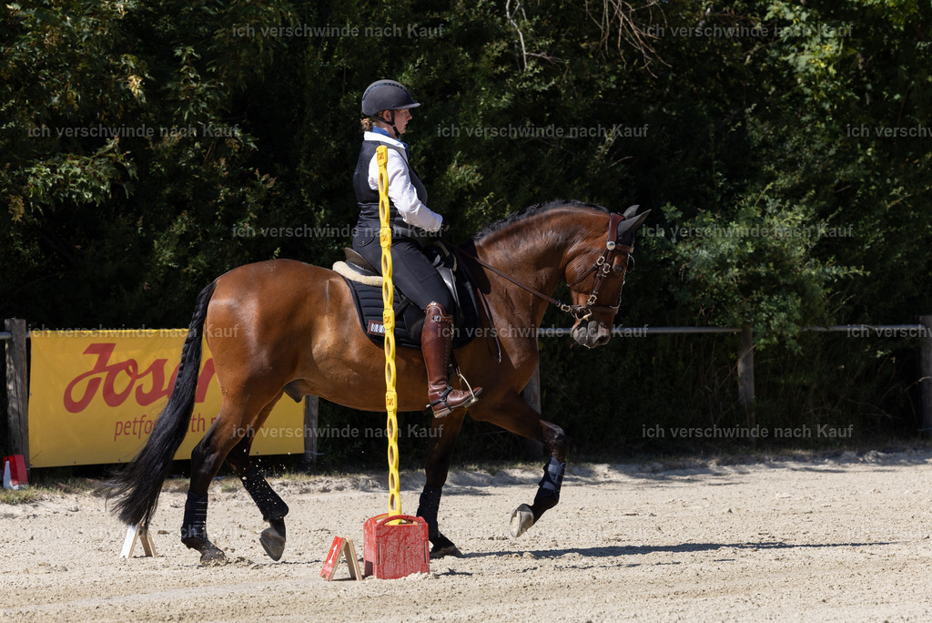WE_Trail_80_KerstinBernhardt-3 | working equitationturnier fotograf videograf stoibphotography marixx film working equitation deutschland reitsport turnierfotografie eventfotografie equestrian events
