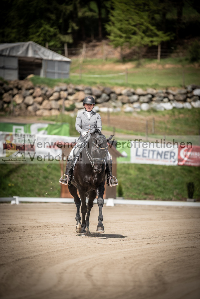 DSC_1313 | equestrian-live-com