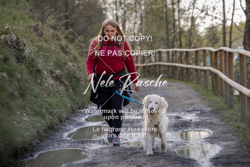 NR__1160 | nelerasche
