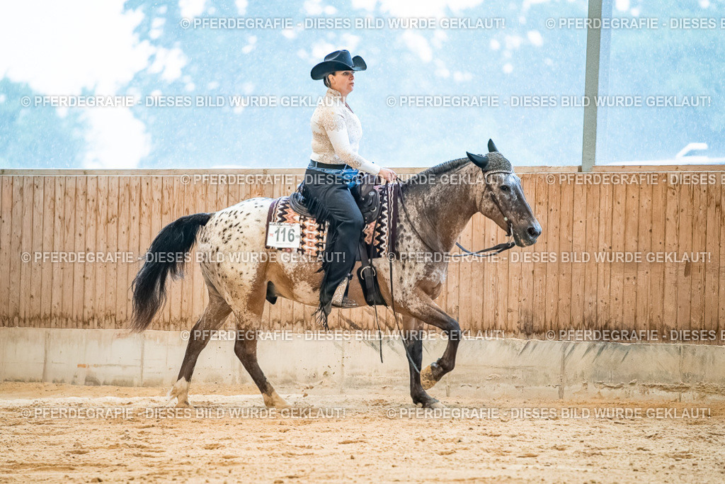 DSC00312 | Pferdegrafie