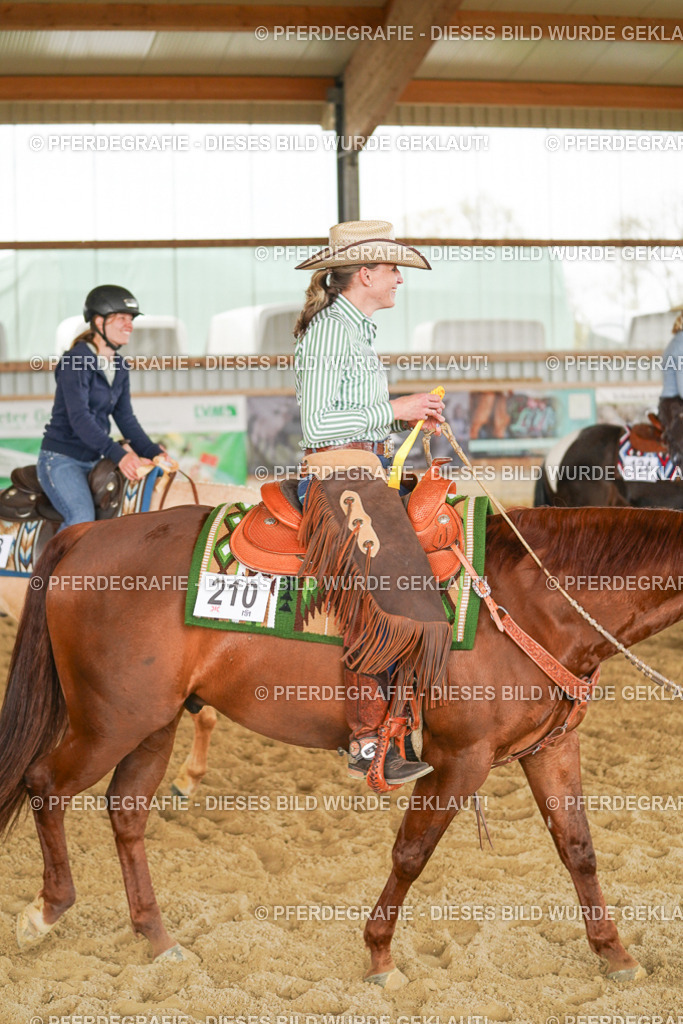 DSC05162 | Pferdegrafie