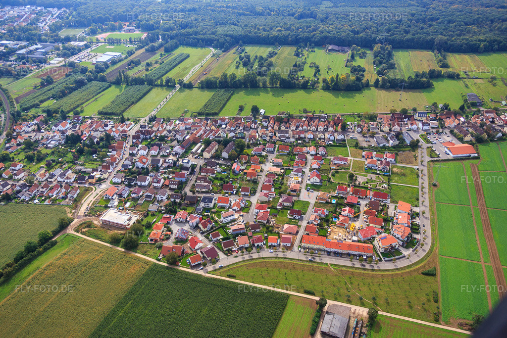 Luftbild: Am Höhenweg in Kandel im Bundesland Rheinland-Pfalz in Deutschland. Foto: IMG_072800.jpg vom 19.09.2014 durch Werner Riehm/FLY-FOTO.de