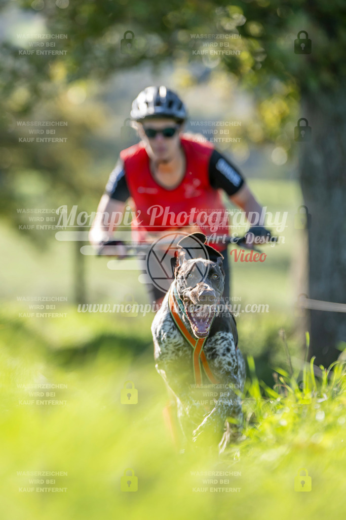 MompixPhotography_20TSB_E3_DS1-81 | PayLife