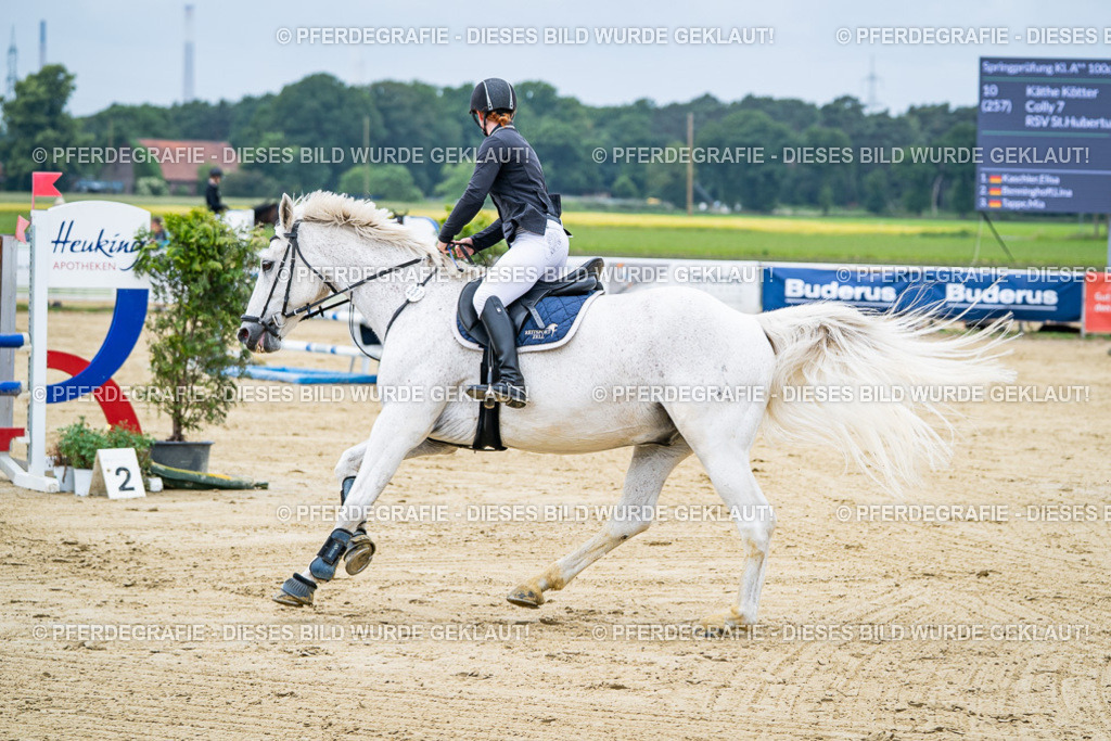 DSC03574 | Pferdegrafie