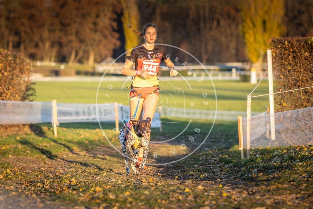 CaniXpix_DV3A5424 | Hundefotografie, Tierfotograf, Pfotenfotografie, Fotoshooting Hund, Hunde Portrait, Hundesport, Hundeportraits, Heideshooting, Hunde, Sportfotograf, Hundefotograf, Turnierhundsport, THS,  - Realisiert mit Pictrs.com