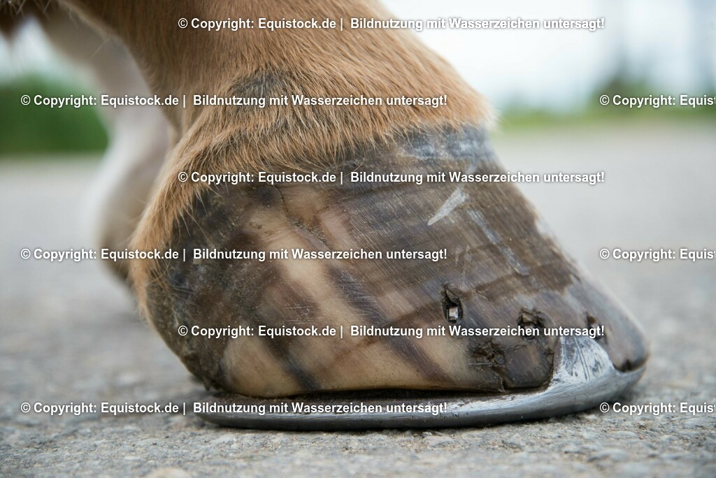 20160626_Hufspalt_0001 | Foto: Thomas Hartig