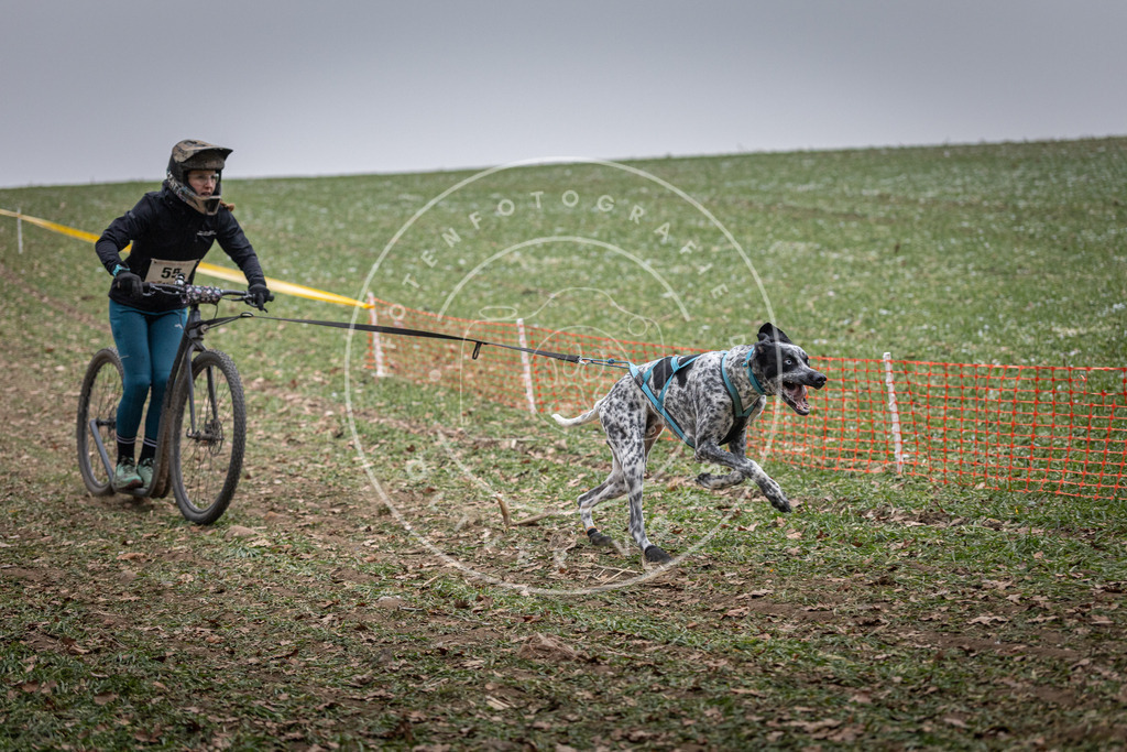 Pfotenfotografie_DV3A1207 | Hundefotografie, Tierfotograf, Pfotenfotografie, Fotoshooting Hund, Hunde Portrait, Hundesport, Hundeportraits, Heideshooting, Hunde, Sportfotograf, Hundefotograf, Turnierhundsport, THS,  - Realisiert mit Pictrs.com