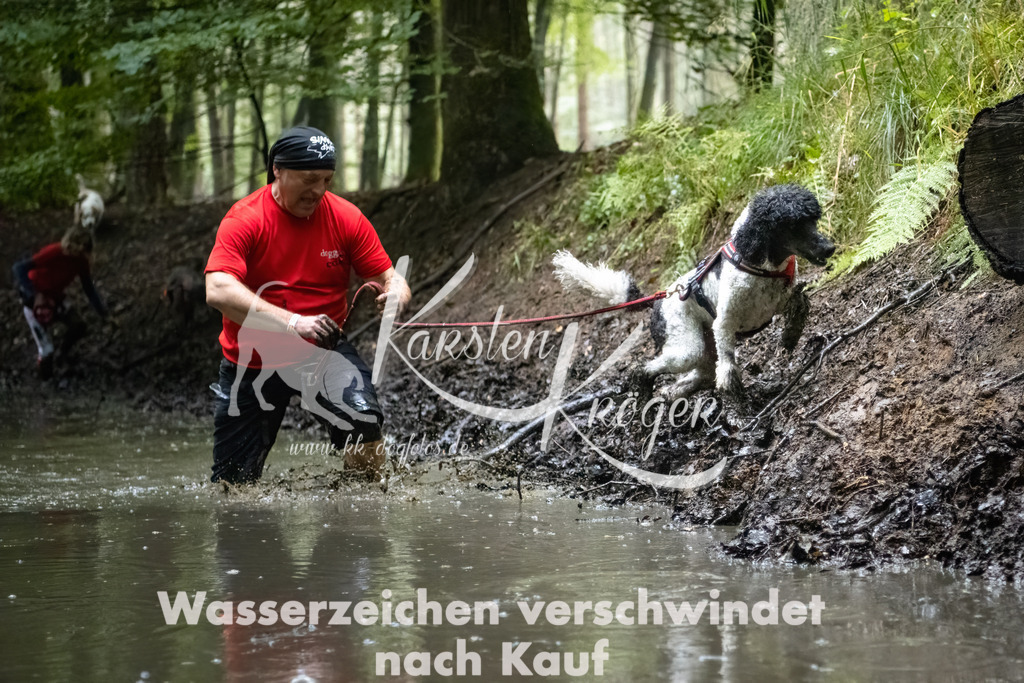 1250_ZZ91528-Bearbeitet | kk-dogfotos