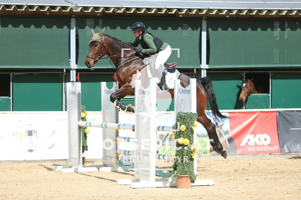 DL2Q8975 | Willkommen bei Brunnmayr - Design & Fotografie – Ihrem Spezialisten für Reitturniere und Pferdeveranstaltungen in Oberösterreich, Salzburg und Bayern! Seit über 17 Jahren sind wir leidenschaftlich dabei.
