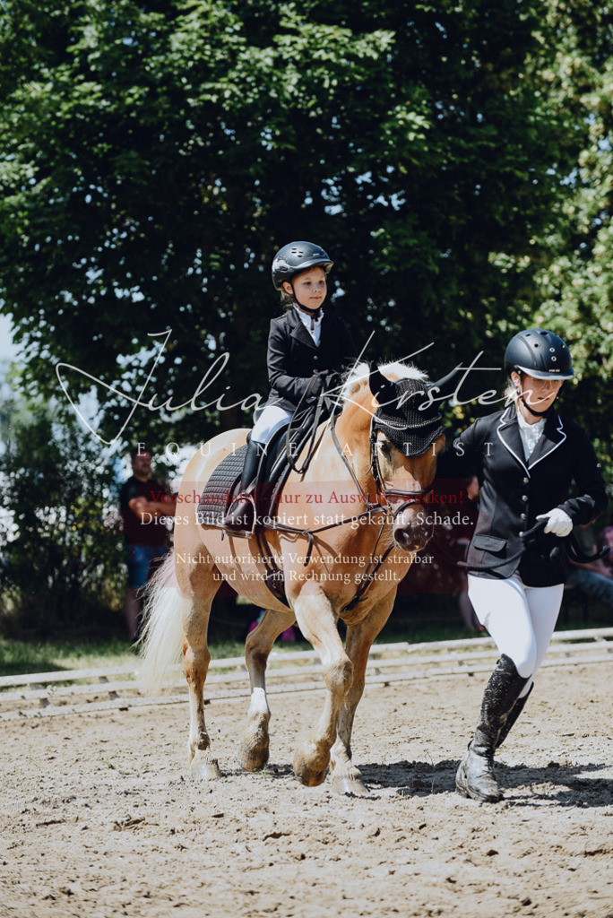 DSC_2530 | Pferde- und Turnierfotografie in Westsachsen. Pferdeportraits, Auftragszeichnungen und intuitive Kunst.