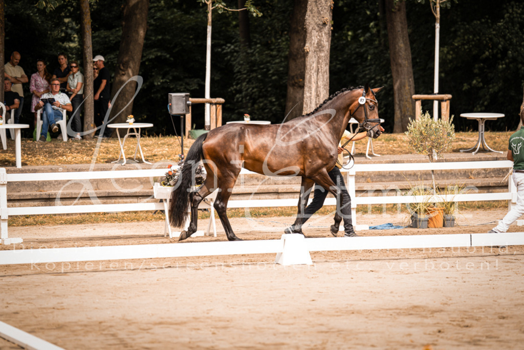 5.Fr00113 | Leoni Ertmer Photography - Realisiert mit Pictrs.com