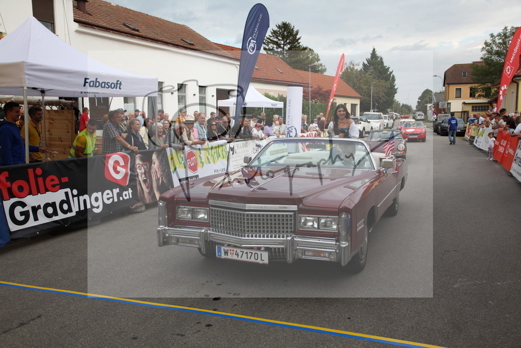 IMG_6312 | Gerhard Witt