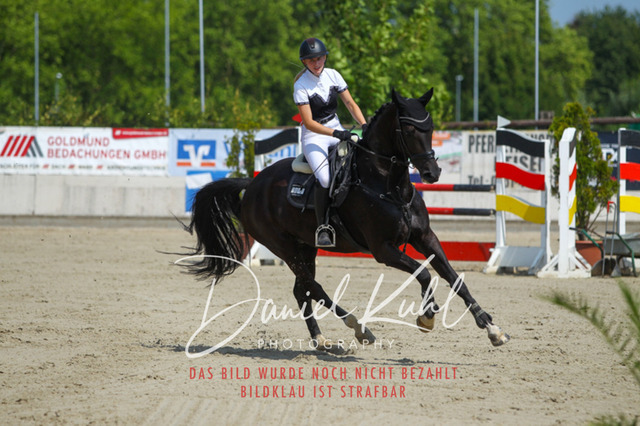 Gut Blee25_Amateuer Stilsprpfg Kl L_0258 | Turniersportfotografie; Pferdefotografie; Dressurfotografie