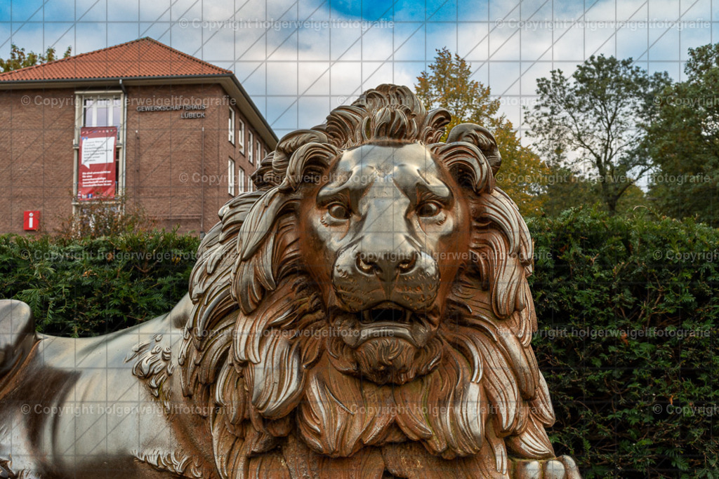 20221005174453D75_0065-Bearbeitet | Kaufen sie online außergewöhnliche Fotografien auf Leinwand Acrylglas Fotoprint Aludibond von holgerweigeltfotografie - Realisiert mit Pictrs.com